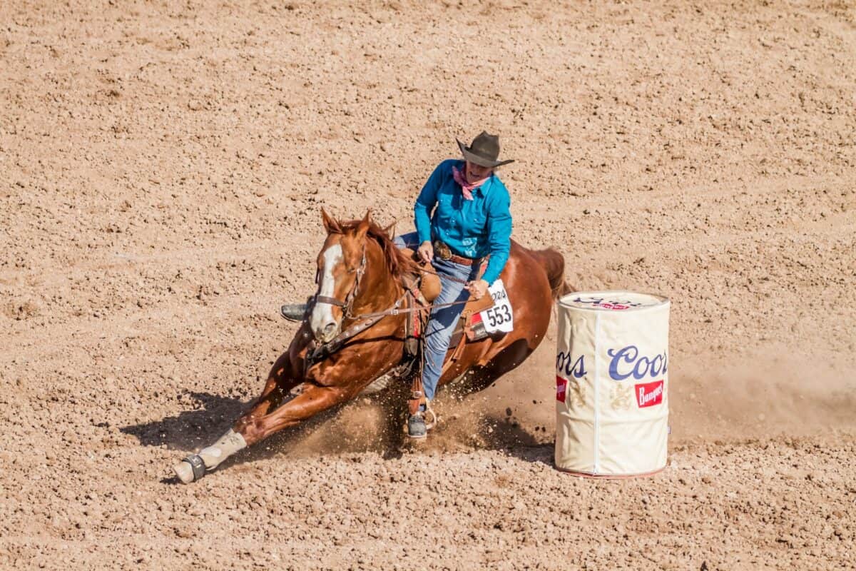 man riding on barrel race horse
