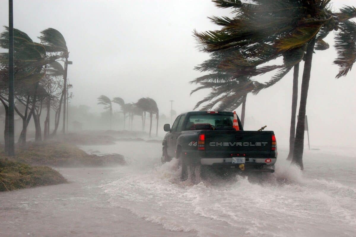 key west, florida, hurricane, hurricane dennis, weather, storm surge, stormy, wind, dangerous, truck, water, sea, ocean, palm trees, outside, flooded, earth day, nature, hurricane, hurricane, hurricane, hurricane, hurricane