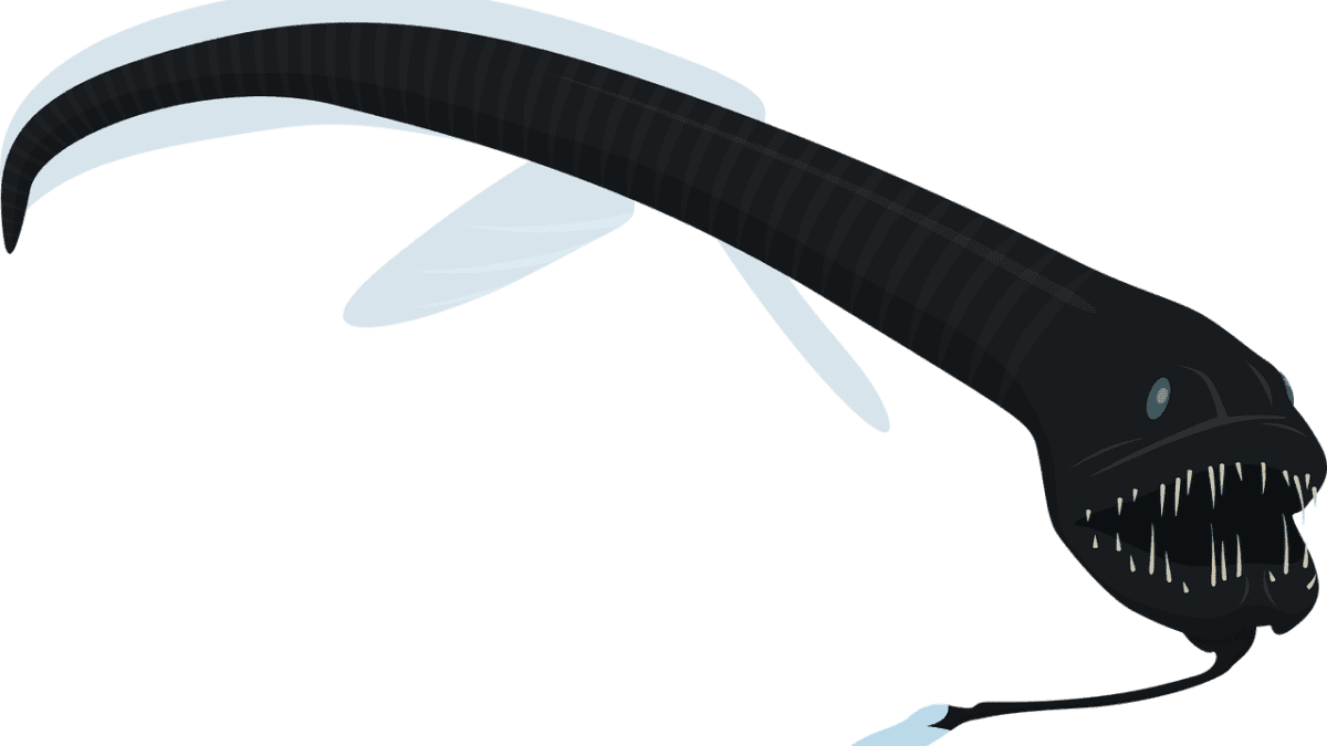 A digital illustration of a Ribbon-Sawtail Dragonfish with an elongated body and sharp, saw-like teeth, showcasing its predatory features