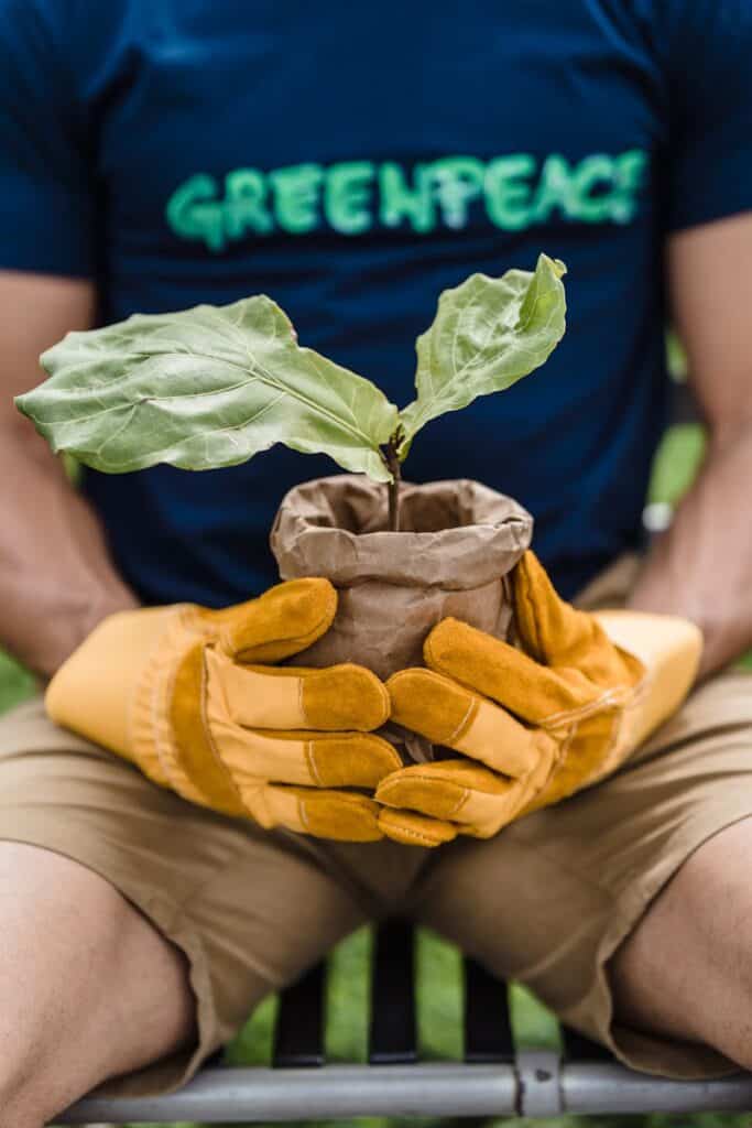Close-up of a person with gloves holding a plant, symbolizing environmental conservation.