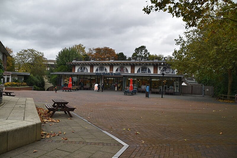 A spacious outdoor plaza with picnic tables and a modern building at London Zoo on a cloudy autumn day, surrounded by trees with fall foliage.