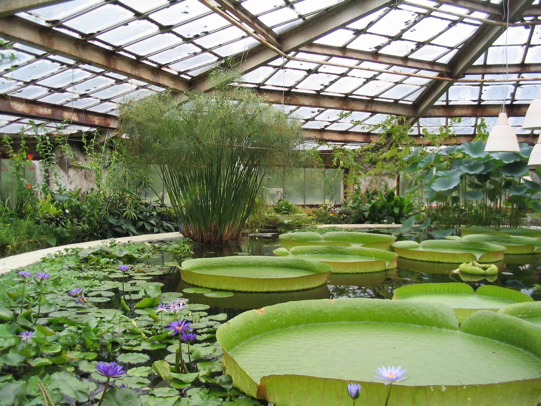 Greenhouse