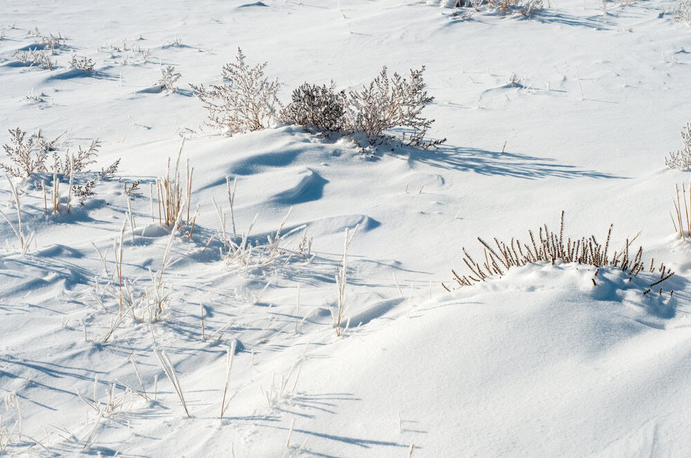 Snow in the Desert 