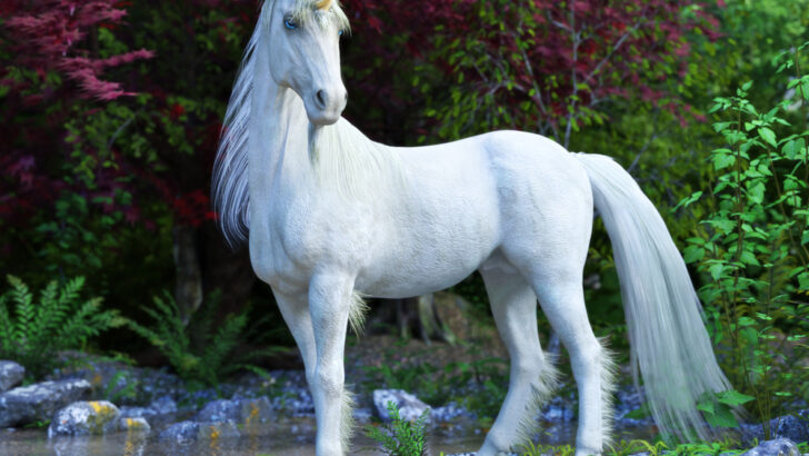 Unicorns: The Mythical Beasts That Never Fade