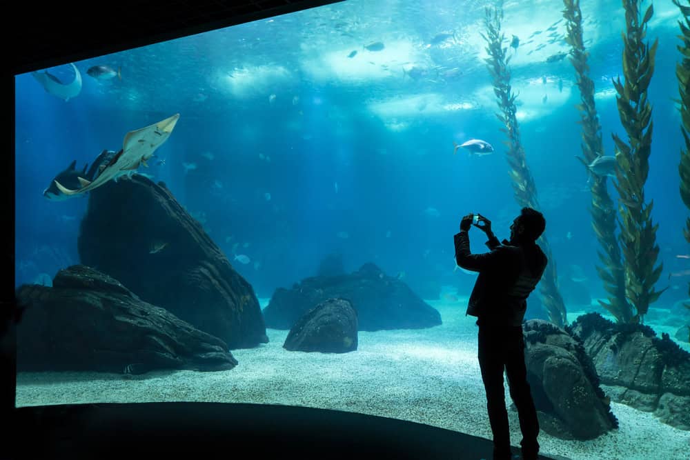 Aquarium.