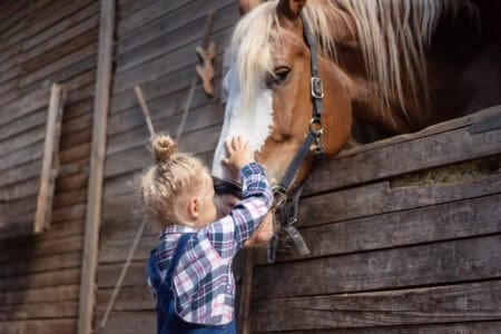 18 Fascinating Facts About Horses and Weather Instincts