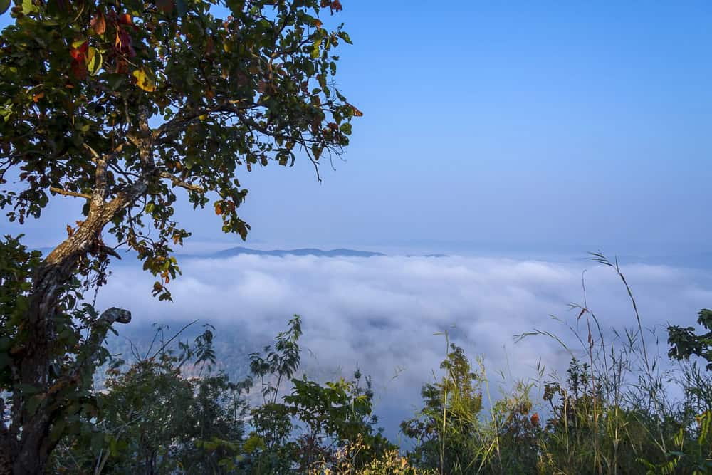 Sunrise with mist morning beautiful Thailand. 