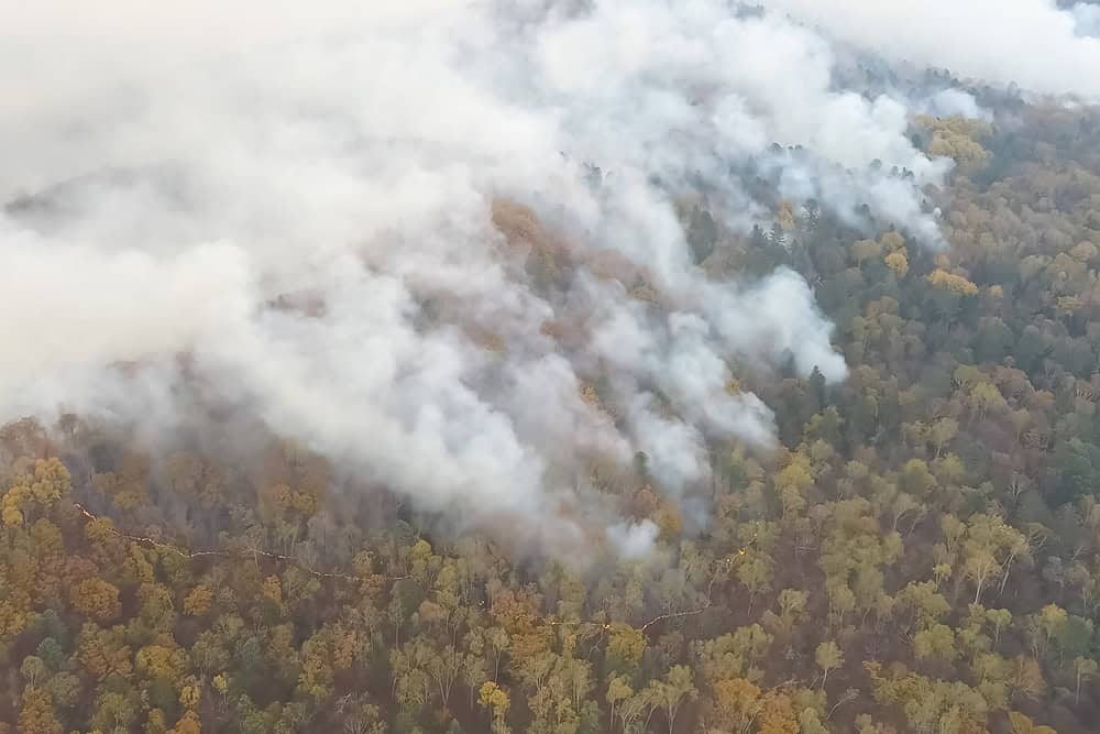 Fires in Russian forest