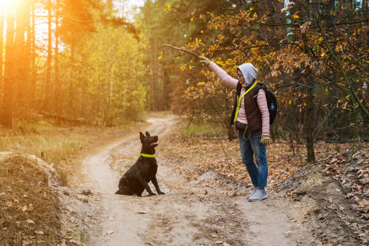 Woman Training Her Dog In The Forest.
