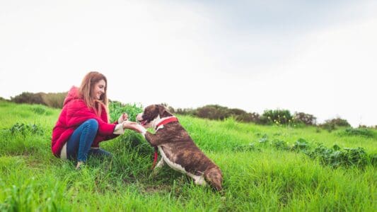 22 Dog Breeds That Will Love You More than They Love Themselves