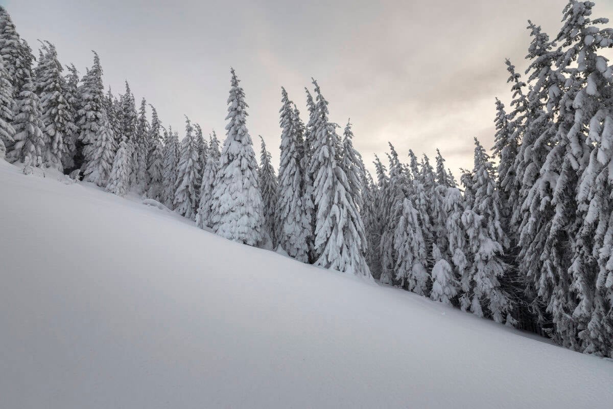 snowfall