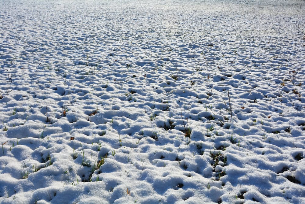 Snow in the desert. 
