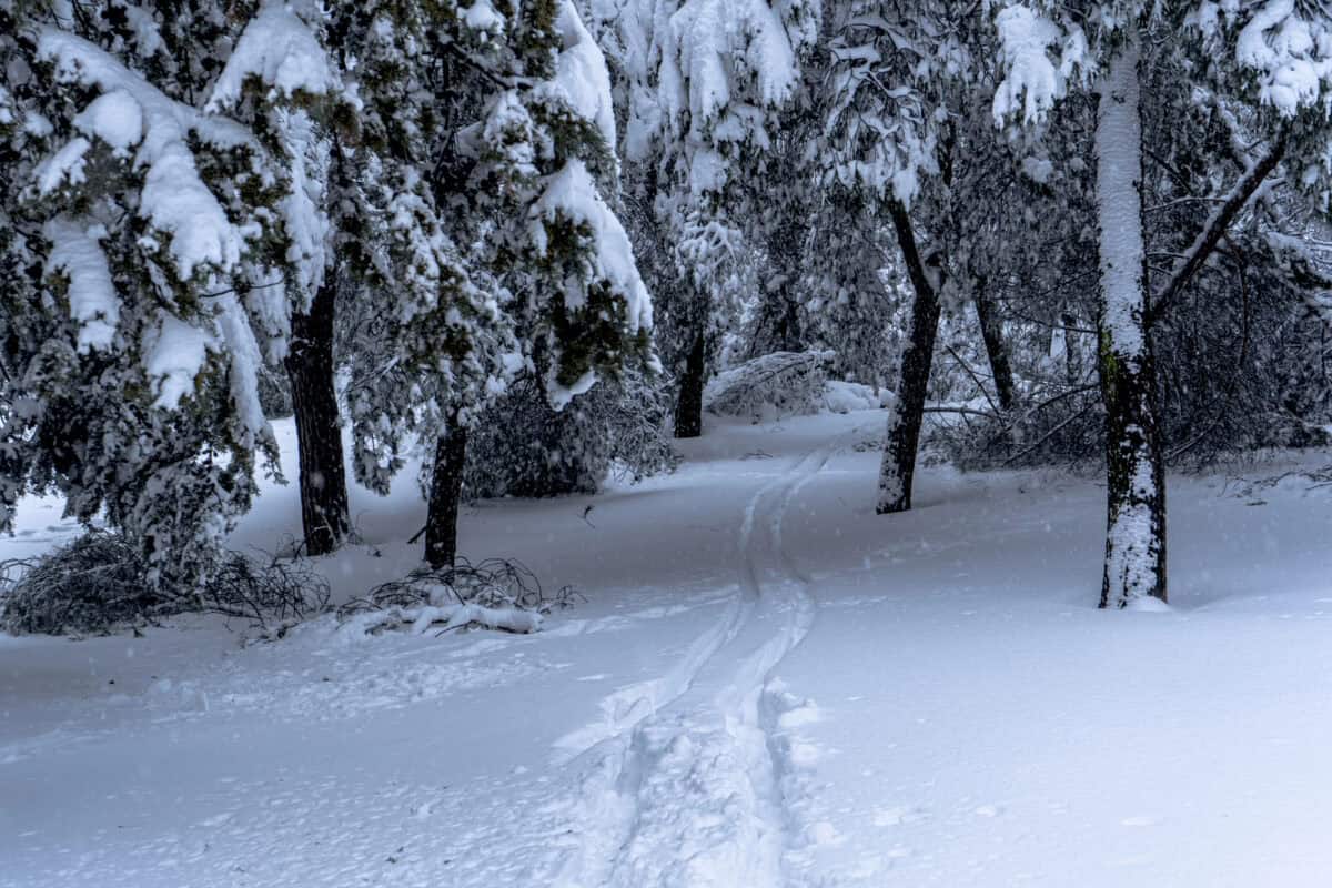 Snowfall