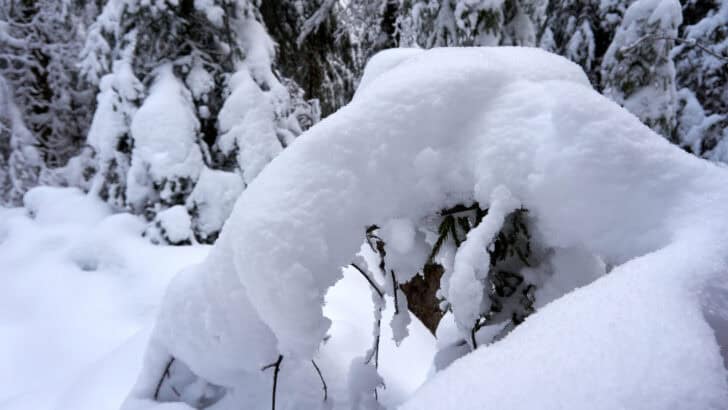 The Most Powerful Blizzard to Bury the Northeast