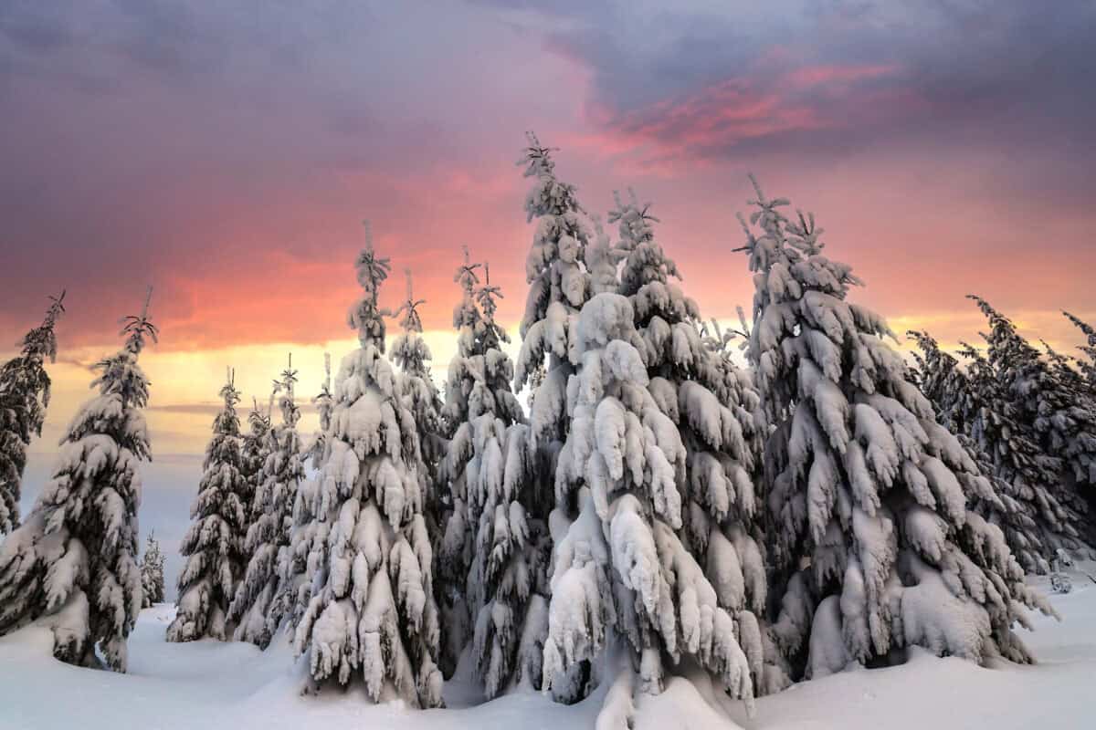 Snowfall