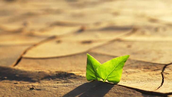 Will Anything Happen If We Stopped Caring About Climate Change?