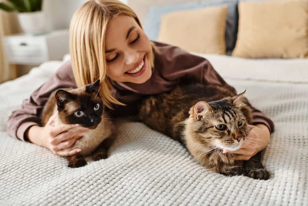 Cats with women.
