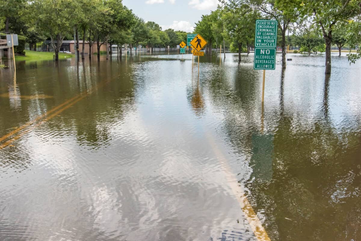 flood