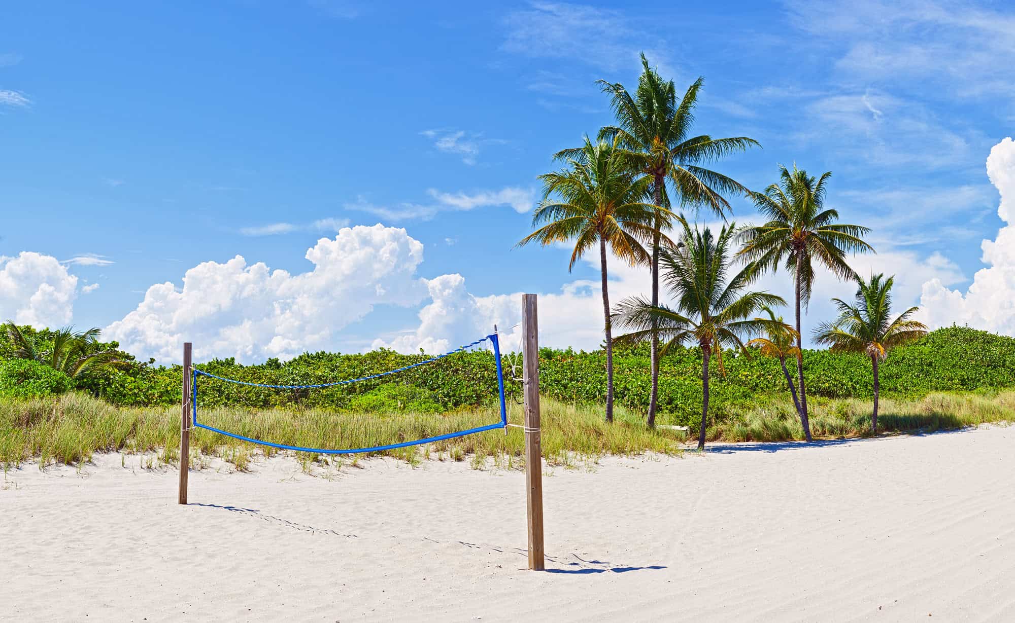 Florida's Beach
