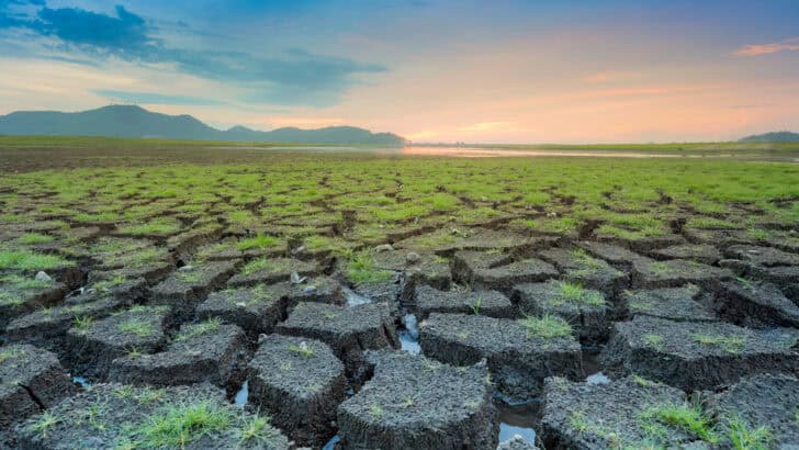 Should We Just Give Up On Climate Change and Accept The New Weather Realities?