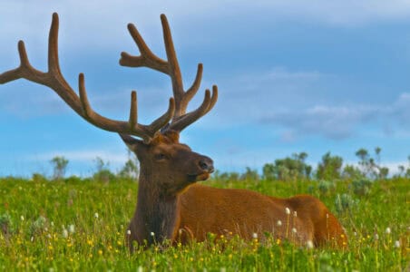 11 Most Dangerous National Parks in the US