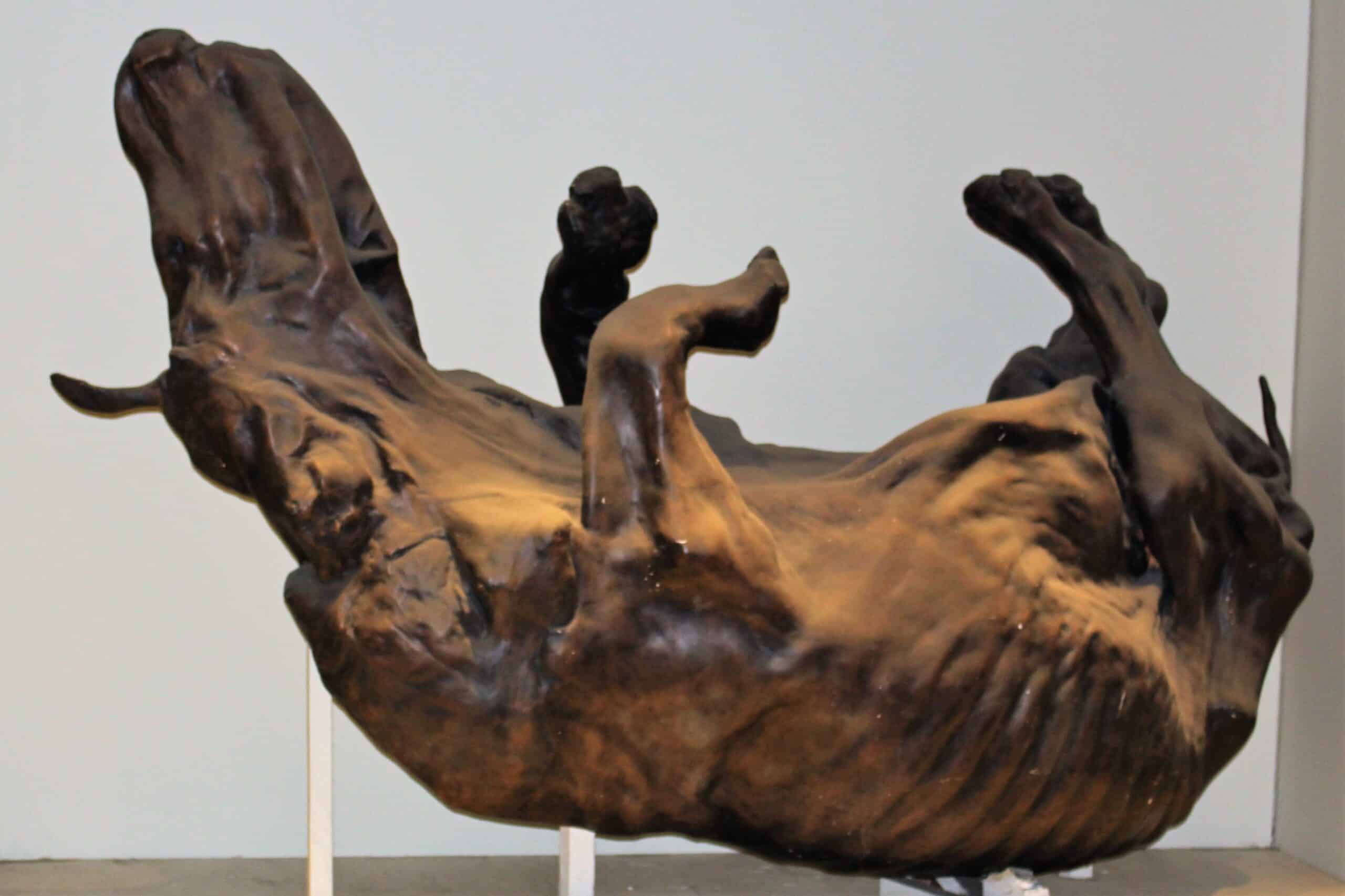 Mummified woolly rhinoceros in Natural History Museum, London.
