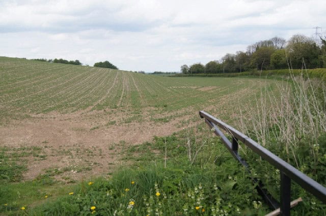 Emerging farm crop