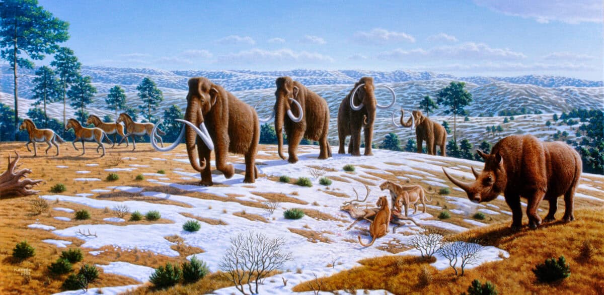 Ice age fauna of Northern Spain. 