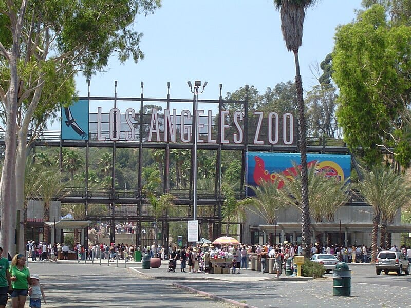 Entrance of the Los Angeles Zoo with a large crowd gathered, featuring a bold sign, palm trees, and a sunny backdrop