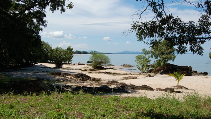 18 Snake-Infested Lakes You’ll Want to Stay Away From