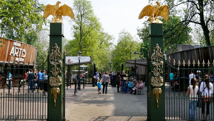 The entrance to Artis Royal Zoo in Amsterdam, featuring ornate green gates adorned with golden animal sculptures and eagles on top. Visitors are seen walking through the gates and gathering near the ticket booth on a sunny day, surrounded by trees and a lively atmosphere.
