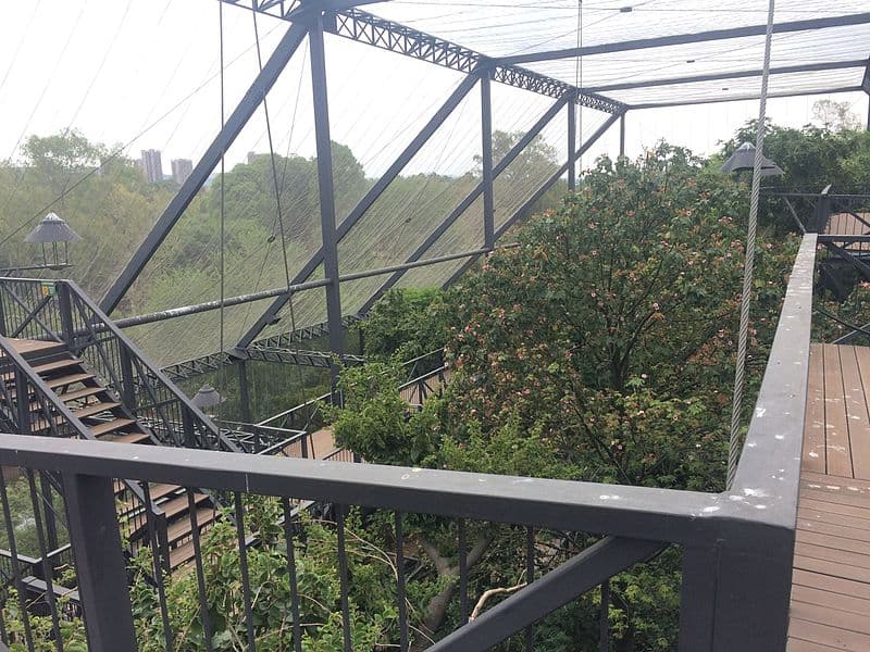 An elevated walkway inside a large aviary at the National Zoological Gardens of South Africa, surrounded by lush greenery and enclosed by a metal framework and netting.