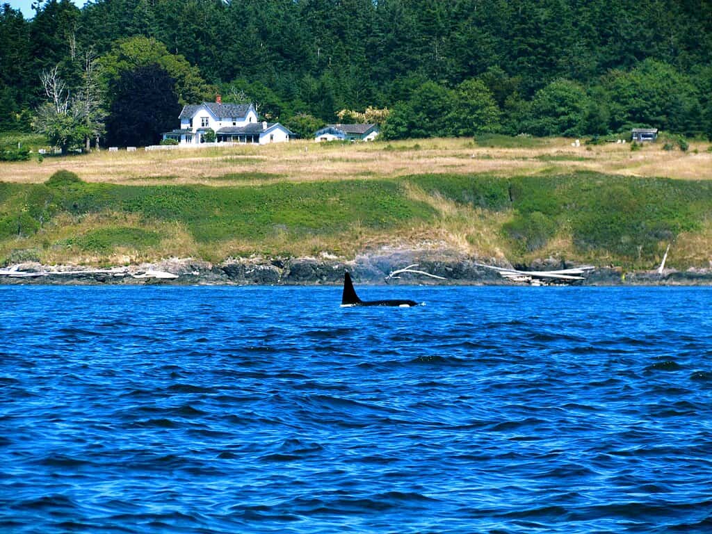 San Juan Island