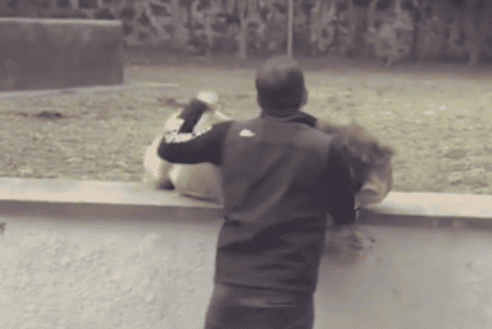 Lion Reunites with His Old Handler—And His Reaction is Pure Love
