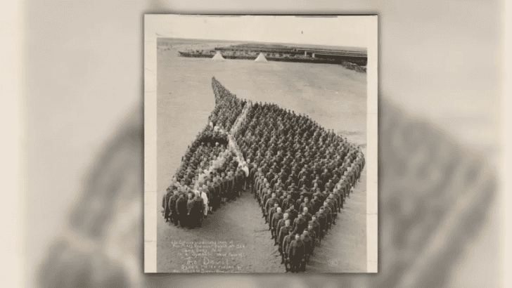 When 650 Soldiers Formed a Tribute to 8 Million Fallen Horses During WW1 (1916)