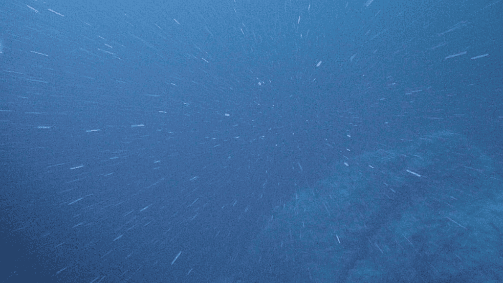 Marine snow.
