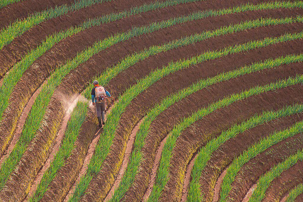 pesticides
