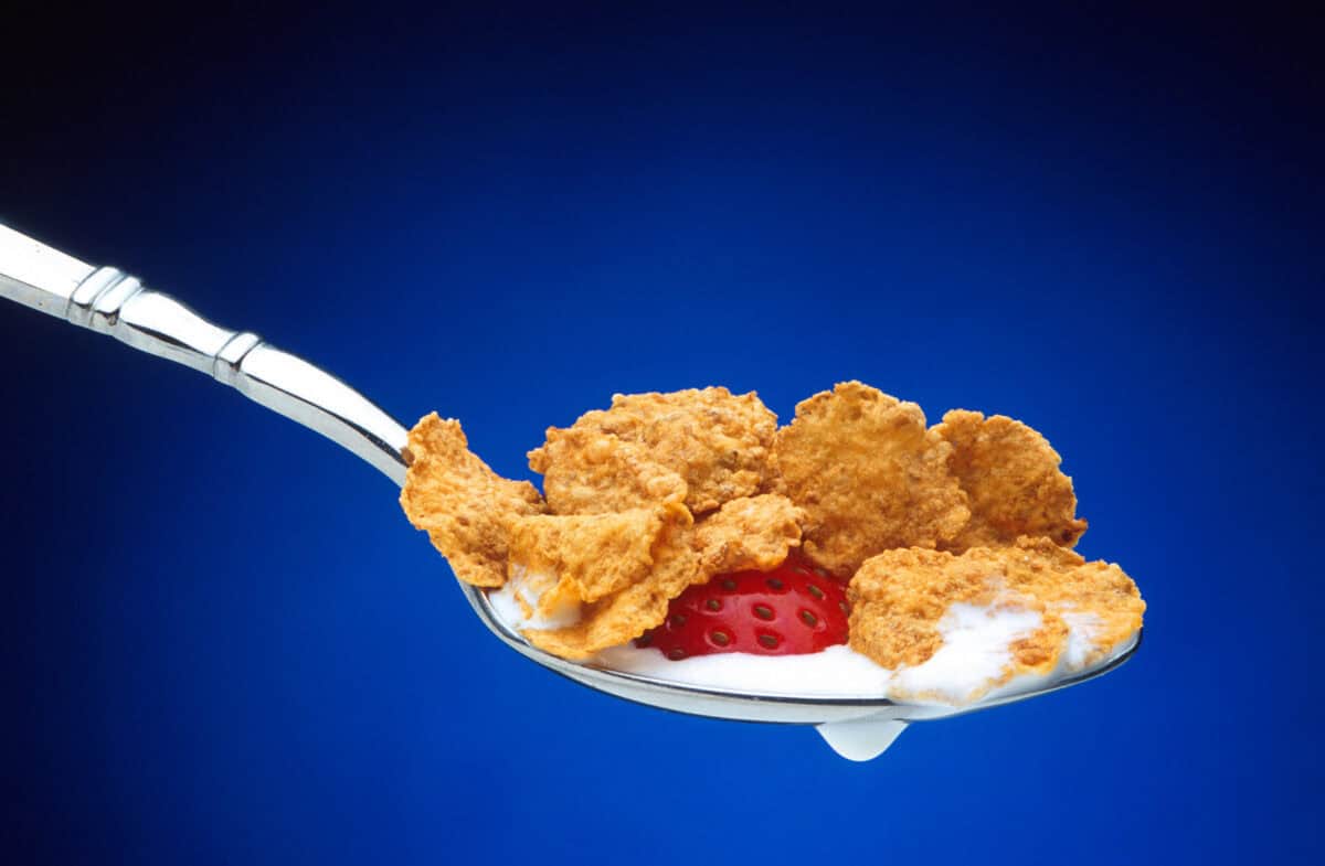 Spoonful_of_cereal