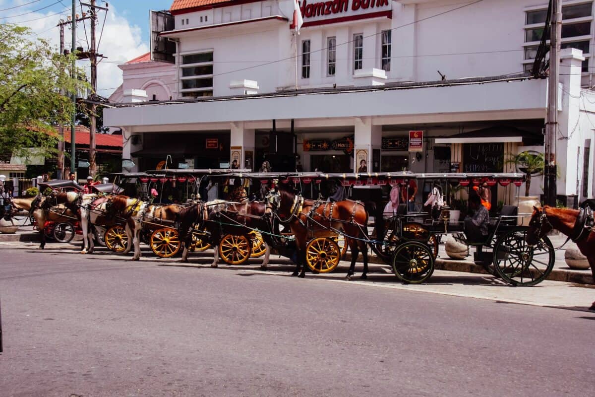a row of horses pulling carriages down a street
