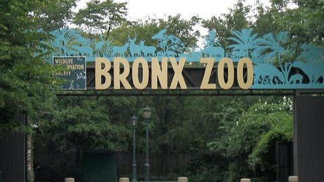 Entrance sign of the Bronx Zoo with large gold lettering, featuring animal silhouettes and lush greenery in the background.