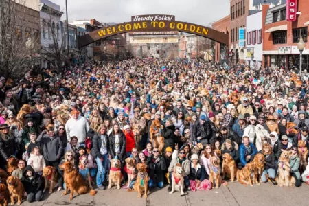 Goldens Take Over Golden &ndash; The Most Adorable Retriever Gathering in America