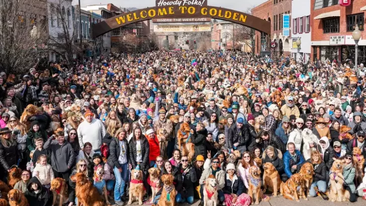 Goldens Take Over Golden – The Most Adorable Retriever Gathering in America