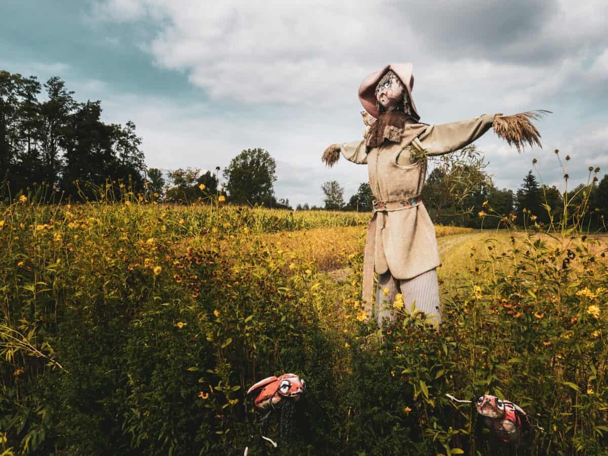 Scarecrow