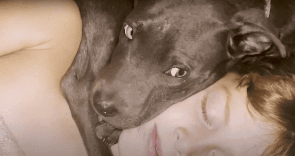 Boy Begs His Mom To Keep The Dog
