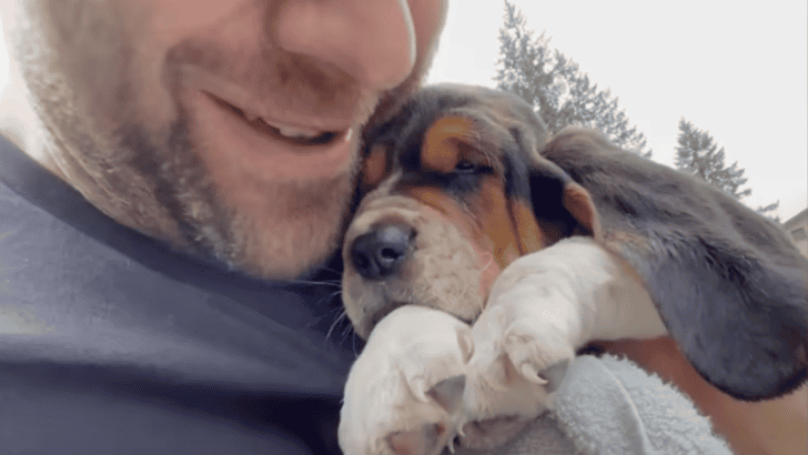 Guy Adopts Puppy Who Wouldn&rsquo;t Stop Crying And Gives Her A Bath