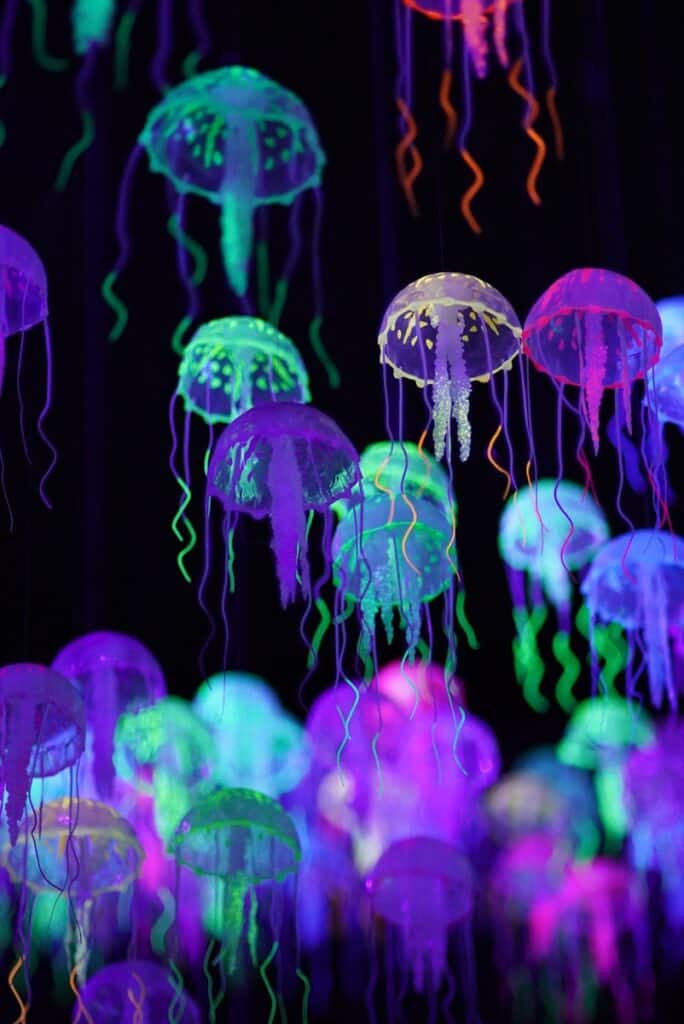 blue and pink jellyfish