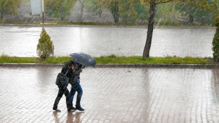 Extreme Weather Events Are Becoming the New Normal—And It’s Not All Bad