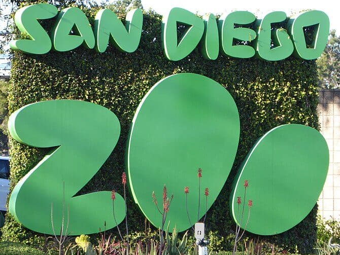 Green sign of the San Diego Zoo with large, rounded letters spelling "ZOO" against a background of greenery.