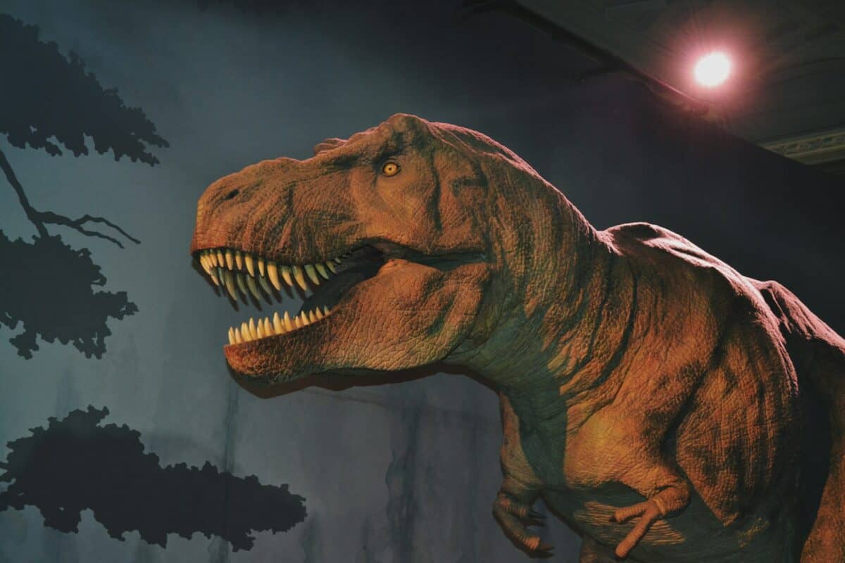 Tyrannosaurus Rex illustration