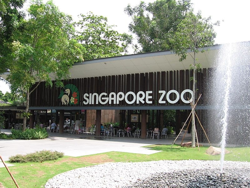 Entrance of the Singapore Zoo with a sign displaying "SINGAPORE ZOO" on a modern wooden facade, surrounded by lush greenery.